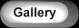 Back to the Gallery