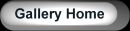Gallery Home Page