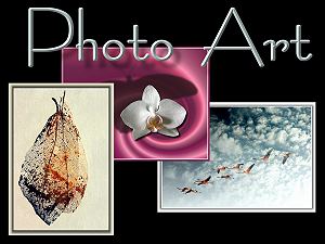 Photo Art