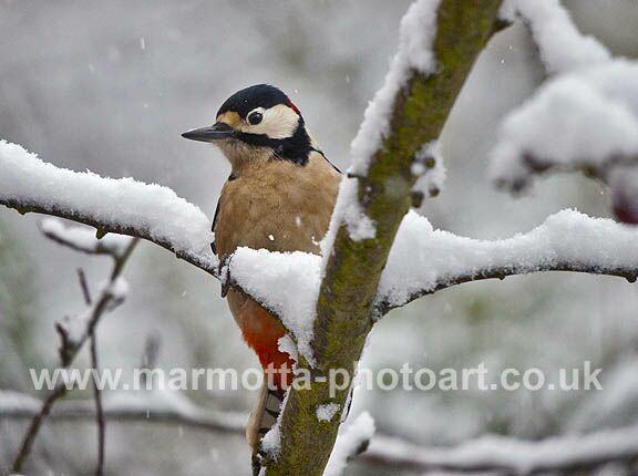 Click to See Next Image