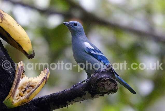 Click to See Next Image