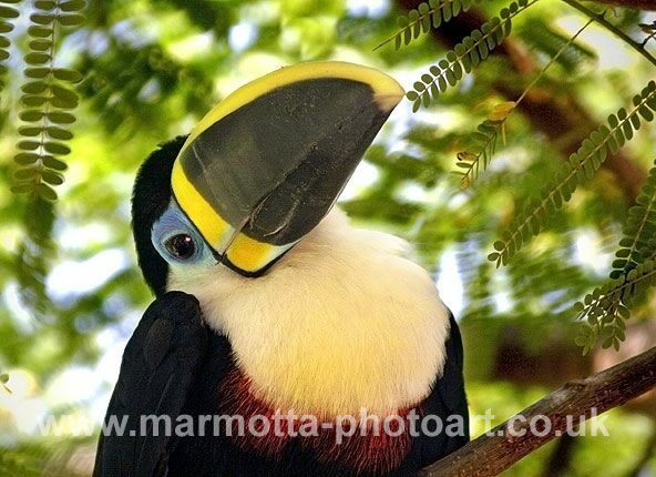 Click to See Next Image