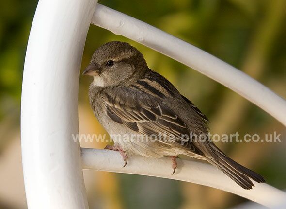 Click to See Next Image