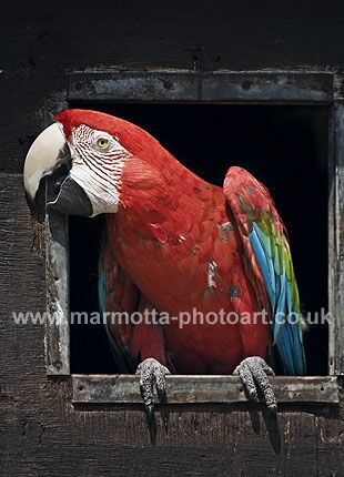 Click to See Next Image