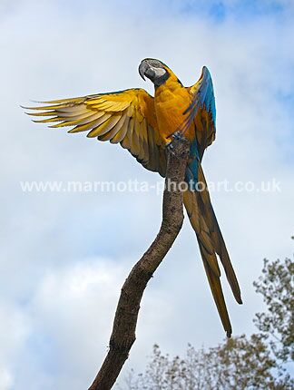 Click to See Next Image