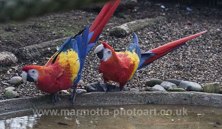 Click to See Next Image