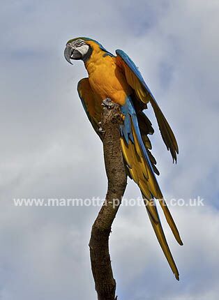 Click to See Next Image