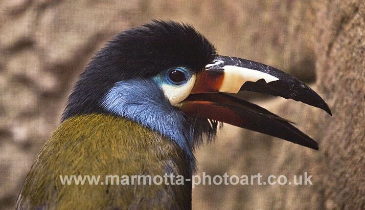 Click to See Next Image