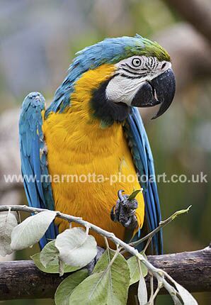 Click to See Next Image