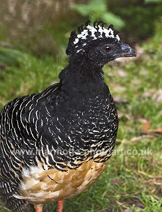 Click to See Next Image