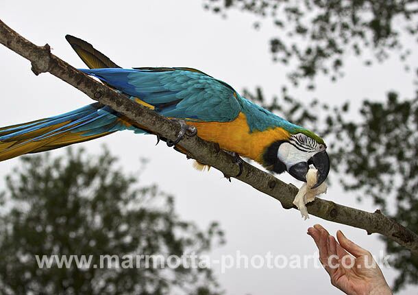 Click to See Next Image