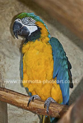 Click to See Next Image