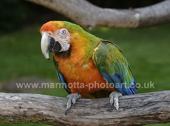 Click to See Next Image