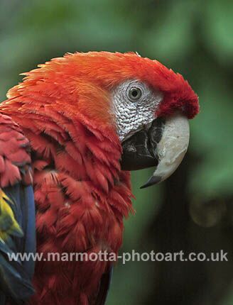 Click to See Next Image