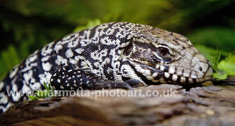 Click to See Next Image