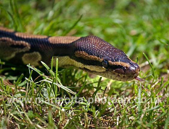 Click to See Next Image