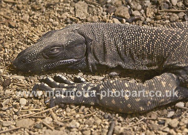 Click to See Next Image