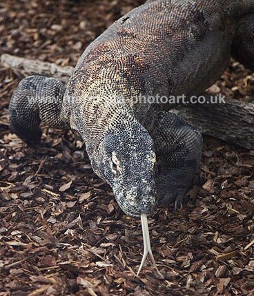 Click to See Next Image