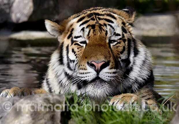 Click to See Next Image