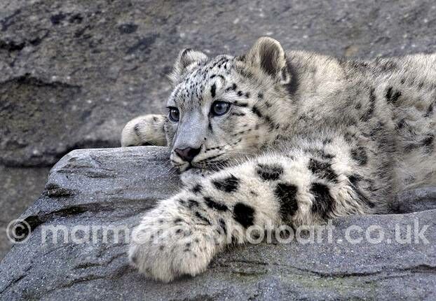 Click to See Next Image