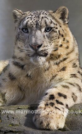 Click to See Next Image