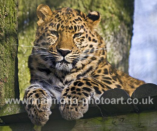 Click to See Next Image