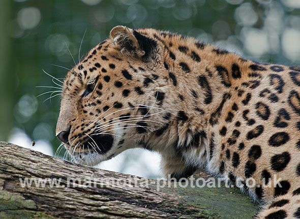 Click to See Next Image