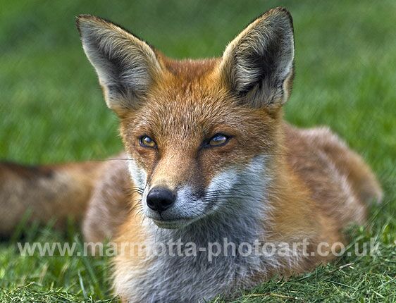 Click to See Next Image