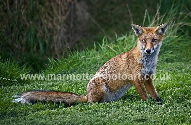 Click to See Next Image