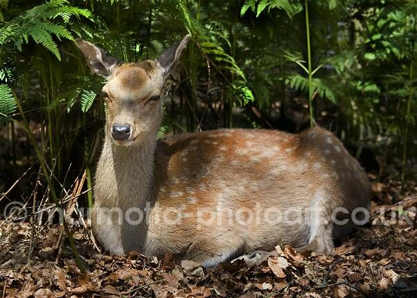 Click to See Next Image