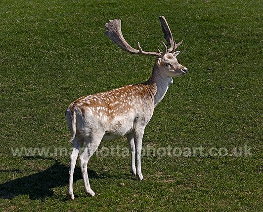 Click to See Next Image