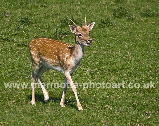 Click to See Next Image