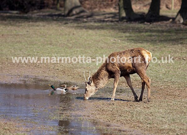 Click to See Next Image