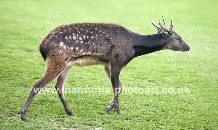 Click to See Next Image