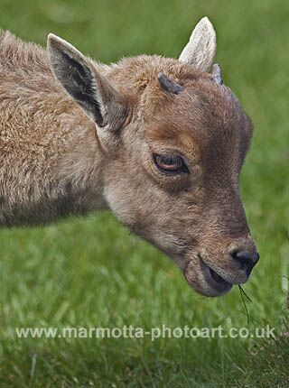 Click to See Next Image