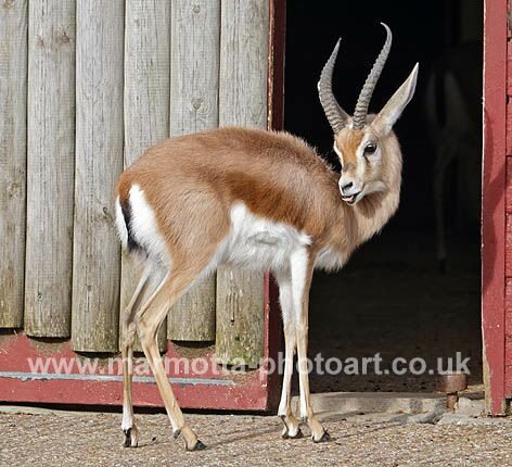 Click to See Next Image