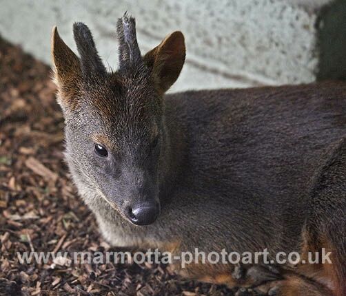 Click to See Next Image