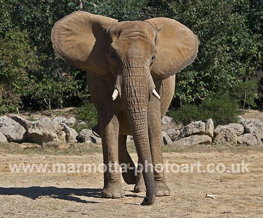 Click to See Next Image