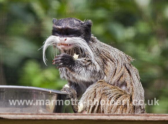 Click to See Next Image