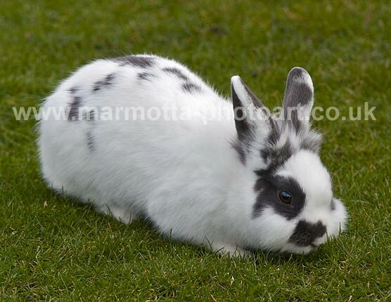 Click to See Next Image