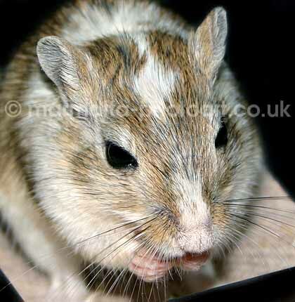 Click to See Next Image