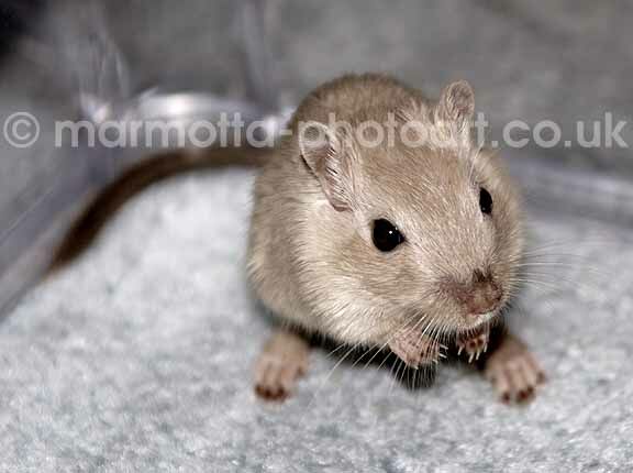 Click to See Next Image