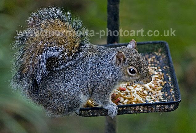 Click to See Next Image