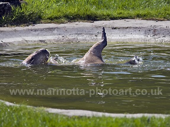 Click to See Next Image