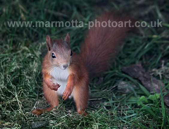 Click to See Next Image