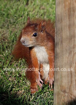 Click to See Next Image