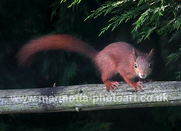 Click to See Next Image