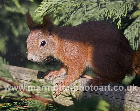 Click to See Next Image