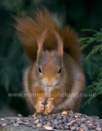 Click to See Next Image