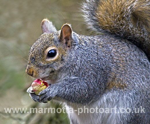 Click to See Next Image